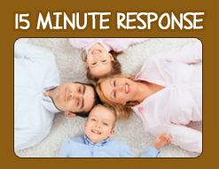 San Jose Carpet Cleaning Experts 15 minutes response