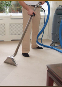 San Jose Carpet Cleaning Experts 